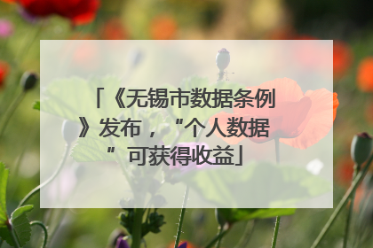 《无锡市数据条例》发布，“个人数据”可获得收益