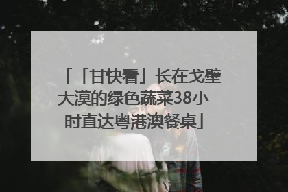 「甘快看」长在戈壁大漠的绿色蔬菜38小时直达粤港澳餐桌