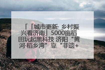 「城市更新· 乡村振兴看济南」5000亩稻田玩起黑科技 济阳“黄河·稻乡湾”靠“非遗+露营”火出圈