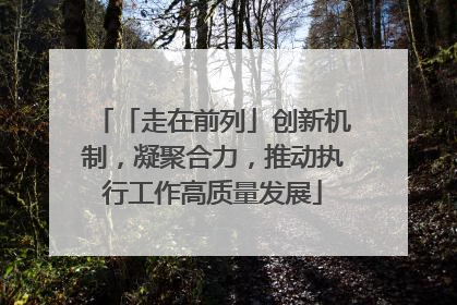 「走在前列」创新机制，凝聚合力，推动执行工作高质量发展