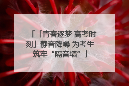 「青春逐梦 高考时刻」静音降噪 为考生筑牢“隔音墙”