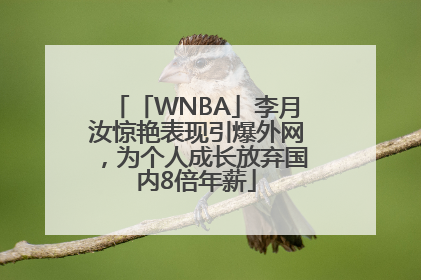 「WNBA」李月汝惊艳表现引爆外网，为个人成长放弃国内8倍年薪