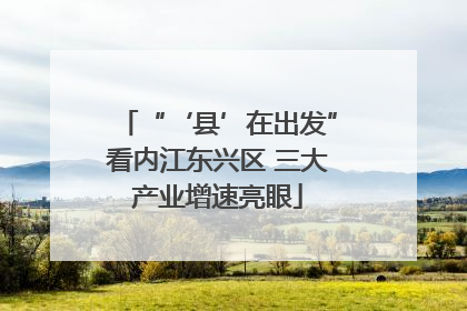“‘县’在出发”看内江东兴区 三大产业增速亮眼