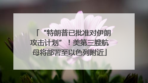 “特朗普已批准对伊朗攻击计划”！美第三艘航母将部署至以色列附近