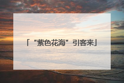 “紫色花海”引客来