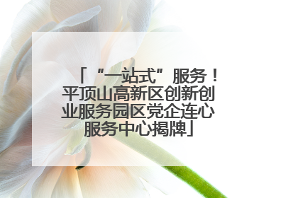 “一站式”服务！平顶山高新区创新创业服务园区党企连心服务中心揭牌