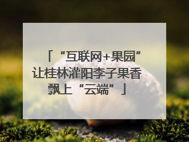 “互联网+果园”让桂林灌阳李子果香飘上“云端”