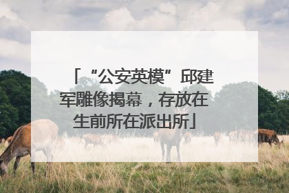 “公安英模”邱建军雕像揭幕，存放在生前所在派出所