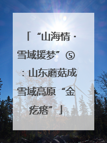 “山海情・雪域援梦”⑤：山东蘑菇成雪域高原“金疙瘩”