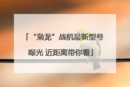 “枭龙”战机最新型号曝光 近距离带你看