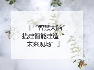“智慧大脑”搭建智能建造“未来现场”