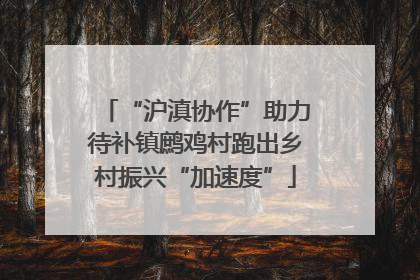 “沪滇协作”助力待补镇鹧鸡村跑出乡村振兴“加速度”