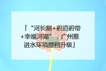 “河长制+碧道碧带+幸福河湖”，广州推进水环境提档升级