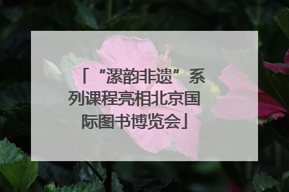 “漯韵非遗”系列课程亮相北京国际图书博览会