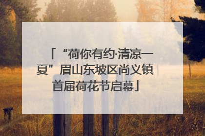 “荷你有约·清凉一夏”眉山东坡区尚义镇首届荷花节启幕