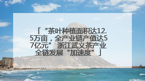 “茶叶种植面积达12.5万亩，全产业链产值达57亿元” 浙江武义茶产业全链发展“加速度”