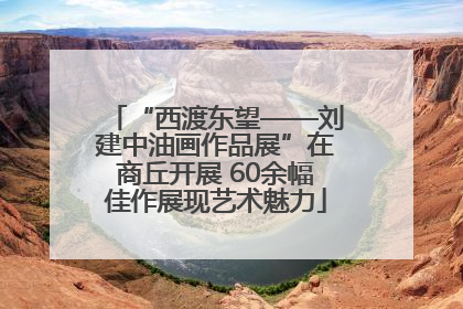 “西渡东望——刘建中油画作品展”在商丘开展 60余幅佳作展现艺术魅力