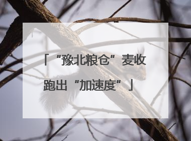 “豫北粮仓”麦收跑出“加速度”