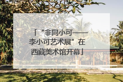 “非同小可——李小可艺术展”在西藏美术馆开幕