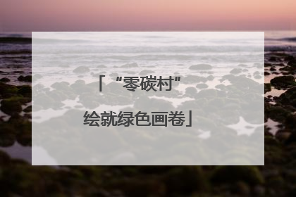 “零碳村” 绘就绿色画卷