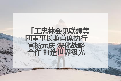 王忠林会见联想集团董事长兼首席执行官杨元庆 深化战略合作 打造世界级光电子信息产业集群