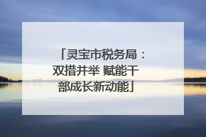 灵宝市税务局：双措并举 赋能干部成长新动能