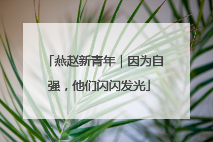 燕赵新青年｜因为自强，他们闪闪发光