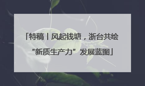 特稿丨风起钱塘，浙台共绘“新质生产力”发展蓝图