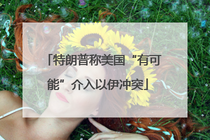 特朗普称美国“有可能”介入以伊冲突