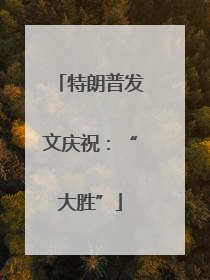 特朗普发文庆祝：“大胜”