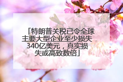 特朗普关税已令全球主要大型企业至少损失340亿美元，真实损失或高致数倍