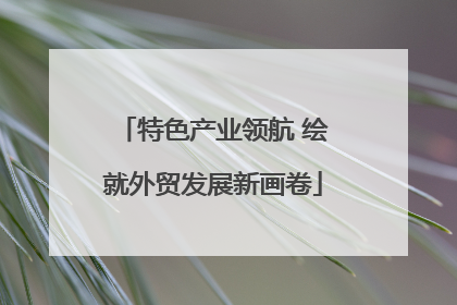 特色产业领航 绘就外贸发展新画卷