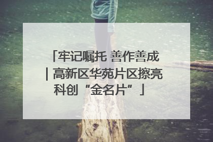 牢记嘱托 善作善成｜高新区华苑片区擦亮科创“金名片”