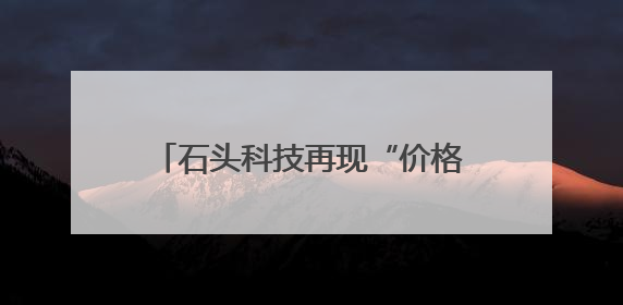 石头科技再现“价格乌龙”，其一季度存货同比增长近两倍