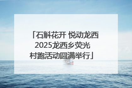 石斛花开 悦动龙西 2025龙西乡荧光村跑活动圆满举行