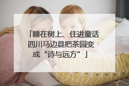 睡在树上、住进童话 四川马边县把茶园变成“诗与远方”