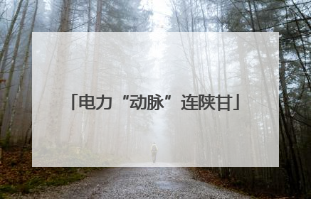 电力“动脉”连陕甘