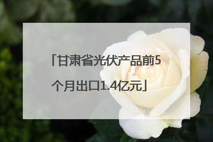 甘肃省光伏产品前5个月出口1.4亿元