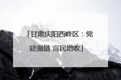 甘肃庆阳西峰区：党建强链 富民增收