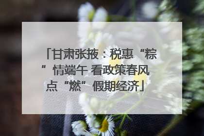 甘肃张掖：税惠“粽”情端午 看政策春风点“燃”假期经济