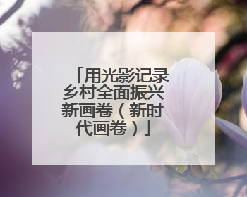 用光影记录乡村全面振兴新画卷（新时代画卷）