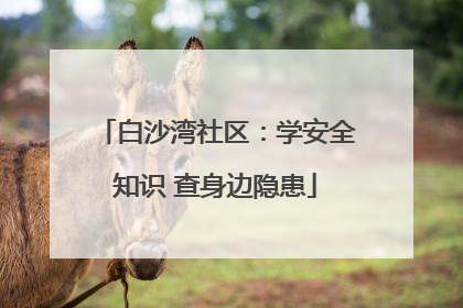白沙湾社区：学安全知识 查身边隐患