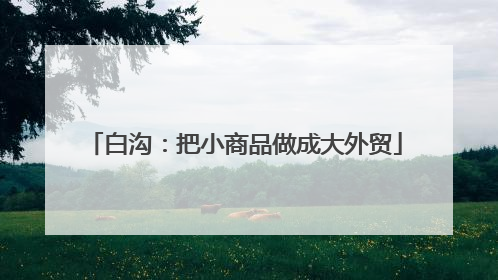 白沟：把小商品做成大外贸