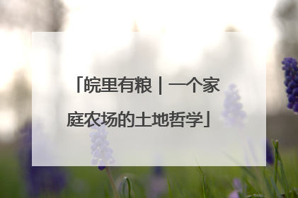 皖里有粮｜一个家庭农场的土地哲学