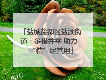 盐城盐都区盐渎街道：多措并举 助力“秸”尽其用