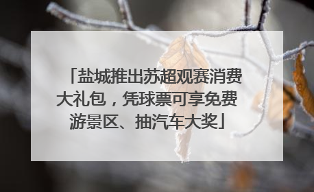 盐城推出苏超观赛消费大礼包，凭球票可享免费游景区、抽汽车大奖