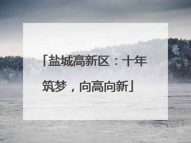 盐城高新区：十年筑梦，向高向新