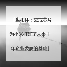 盘和林：玄戒芯片为小米打好了未来十年企业发展的基础