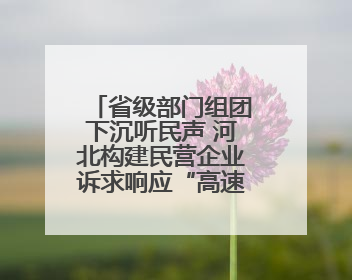 省级部门组团下沉听民声 河北构建民营企业诉求响应“高速路”