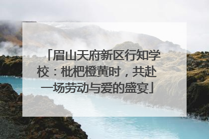 眉山天府新区行知学校：枇杷橙黄时，共赴一场劳动与爱的盛宴